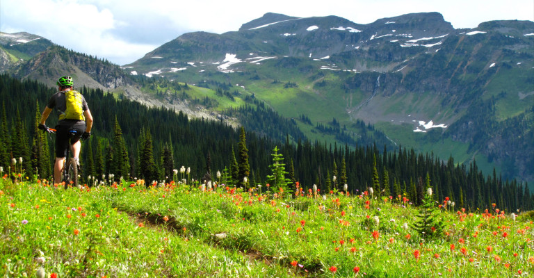 Revelstoke